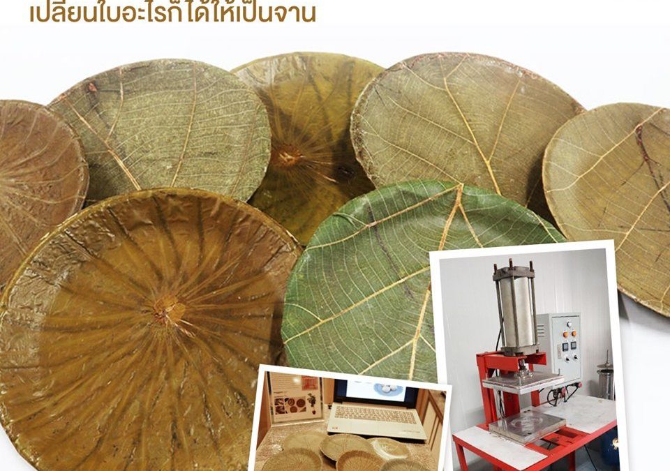 เครื่องอัดขึ้นรูปใบไม้